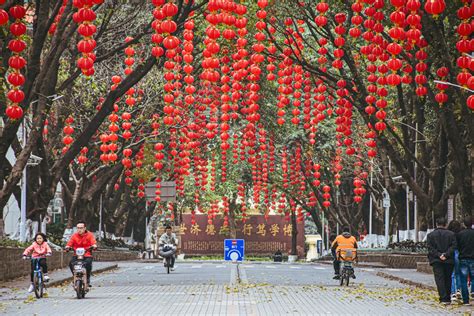 屬虎適合戴什麼